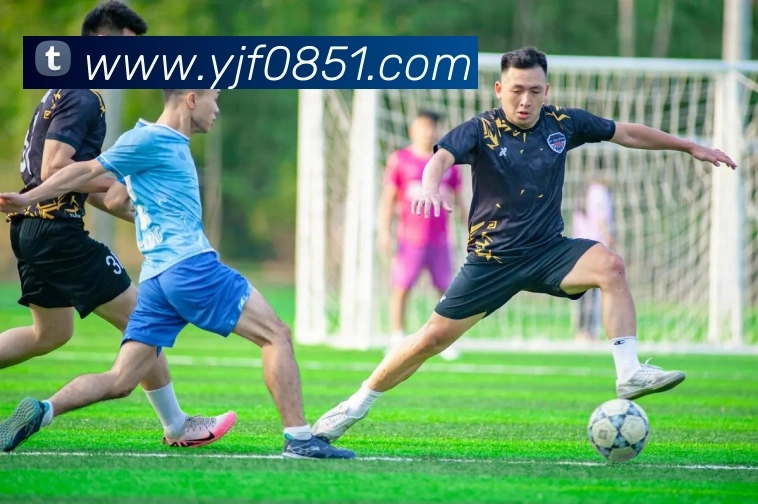 世界杯开户平台平台生态图